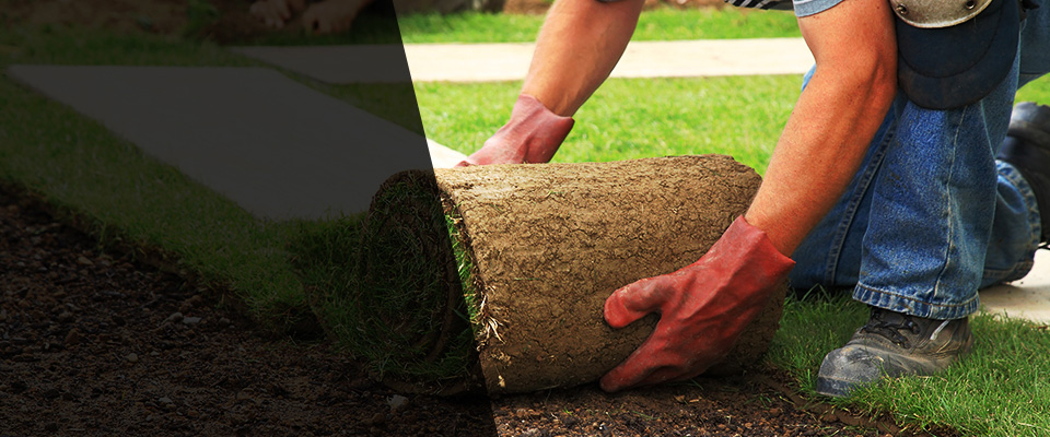 Olney Landscapers